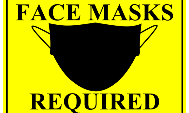 How to make your own face mask
