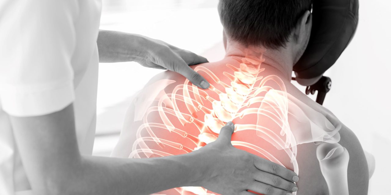 Physio Focus Introduction