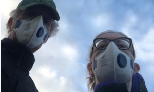 After 116 days indoors – BIRDSONG IN THE WOODS!